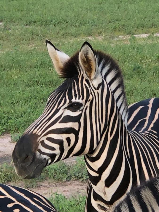 Fathala Wildlife Reserve Toubakouta Buitenkant foto