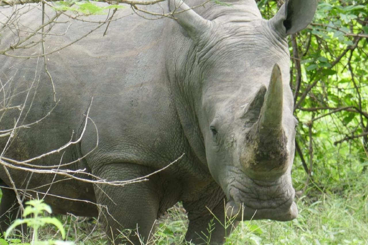Fathala Wildlife Reserve Toubakouta Buitenkant foto